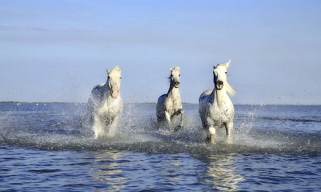 Vernal Equinox 2018 ☀️WMS⚜️celebrates 16th&nbsp;Anniversary